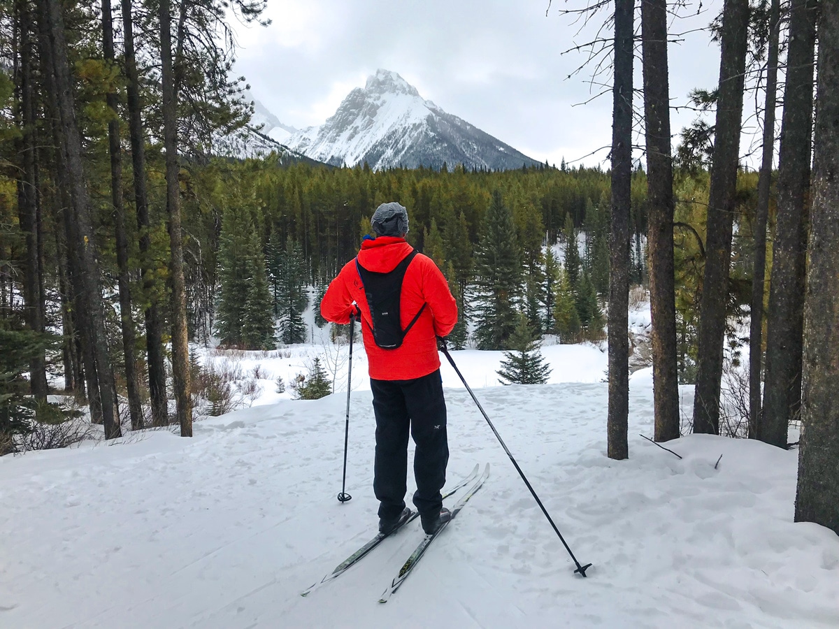 Winter views on Pocaterra XC ski trail near Kananaskis and Canmore