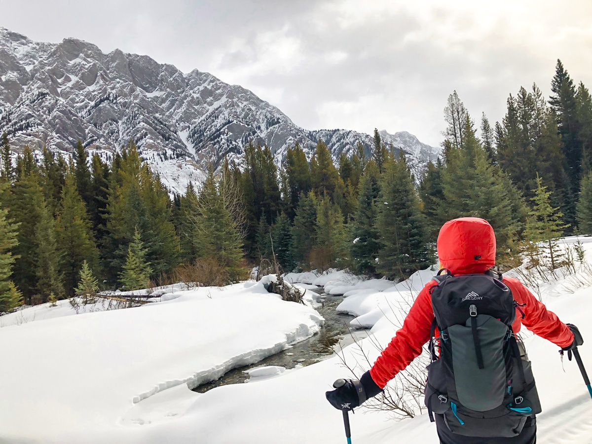 Early views on Pocaterra XC ski trail near Kananaskis and Canmore