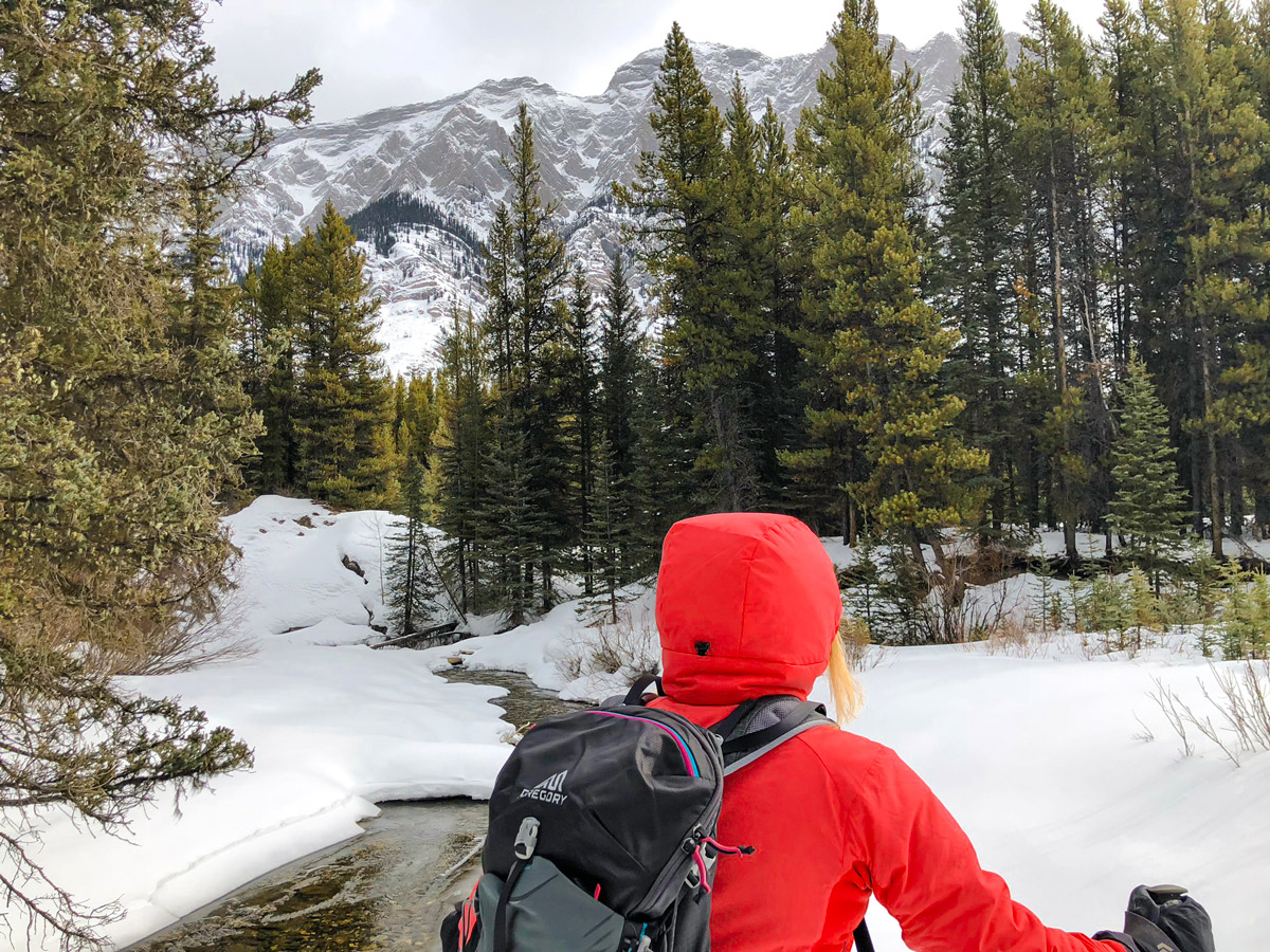 Great winter scenery on Pocaterra XC ski trail near Kananaskis and Canmore