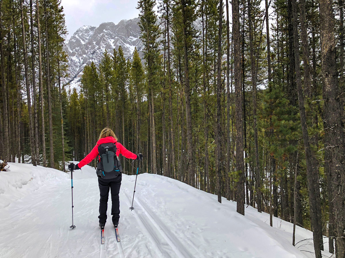 Path through the forest on Pocaterra XC ski trail near Kananaskis and Canmore