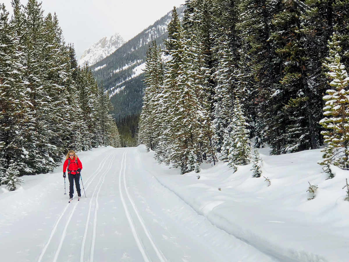 Nice skiing on Pocaterra XC ski trail near Kananaskis and Canmore