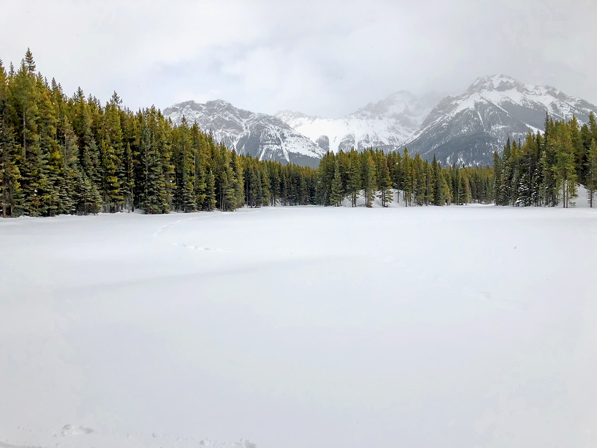 Marl Lake views on Pocaterra XC ski trail near Kananaskis and Canmore