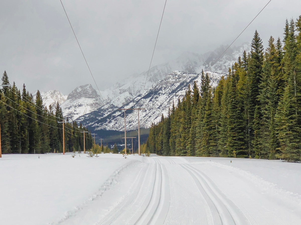 Wide utility corridor on Pocaterra XC ski trail near Kananaskis and Canmore