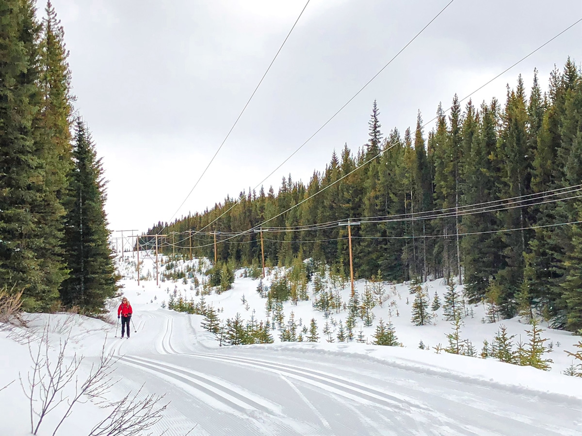 Good beginner trail on Pocaterra XC ski trail near Kananaskis and Canmore