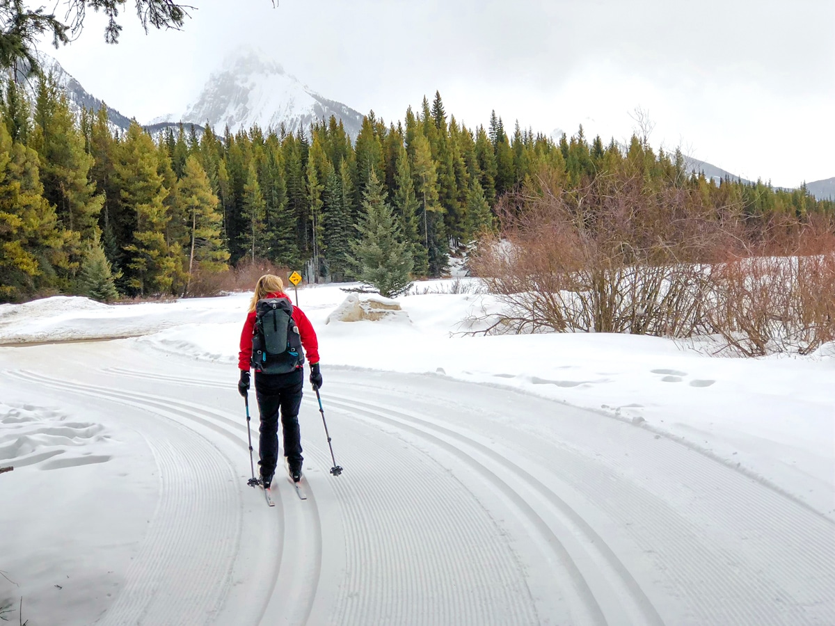 Crossing the road on Pocaterra XC ski trail near Kananaskis and Canmore