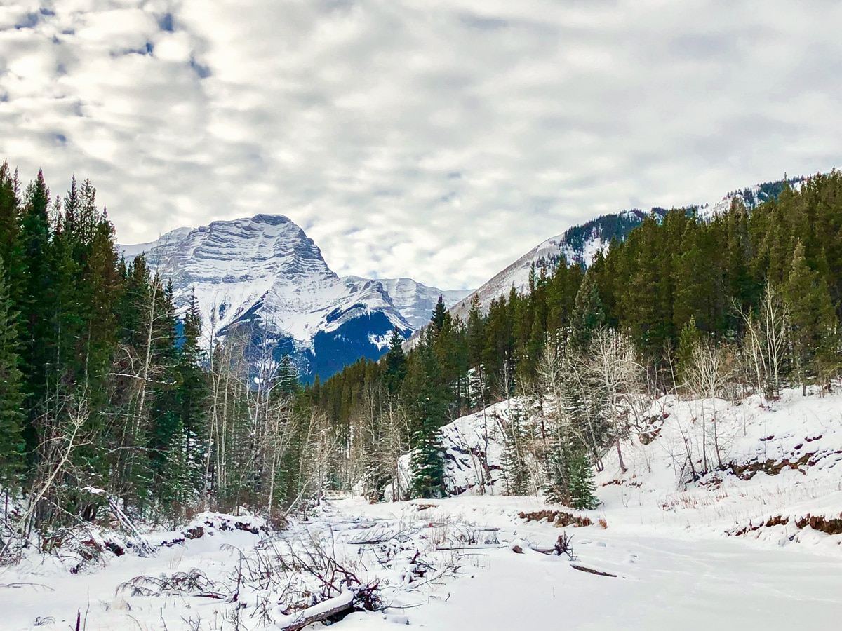 Beautiful views on Ribbon Creek XC ski trail near Kananaskis and Canmore