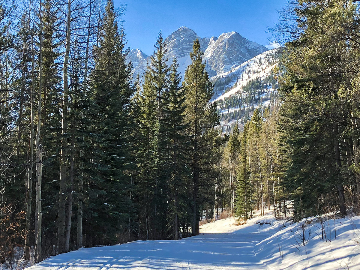 Beginning of Ribbon Creek XC ski trail near Kananaskis and Canmore