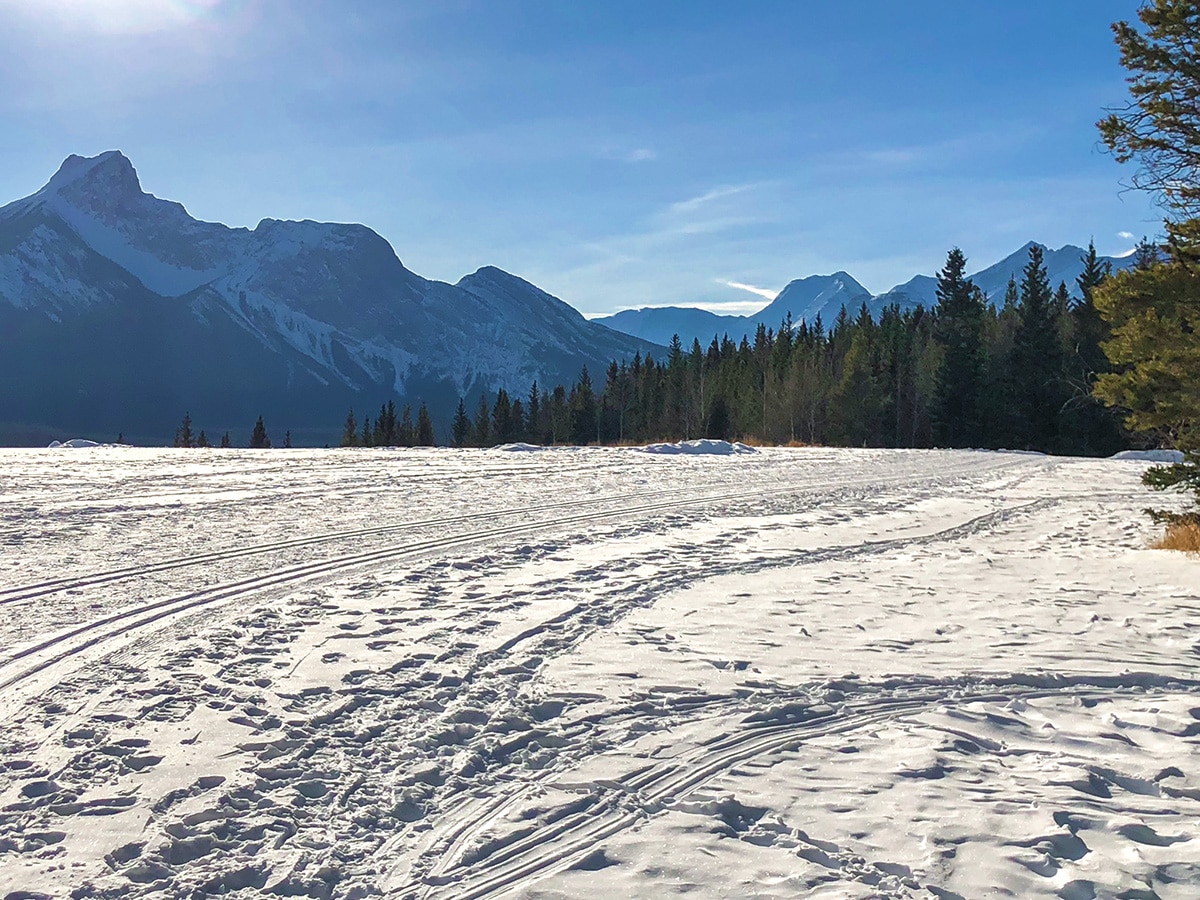 View from the plateau on Ribbon Creek XC ski trail near Kananaskis and Canmore