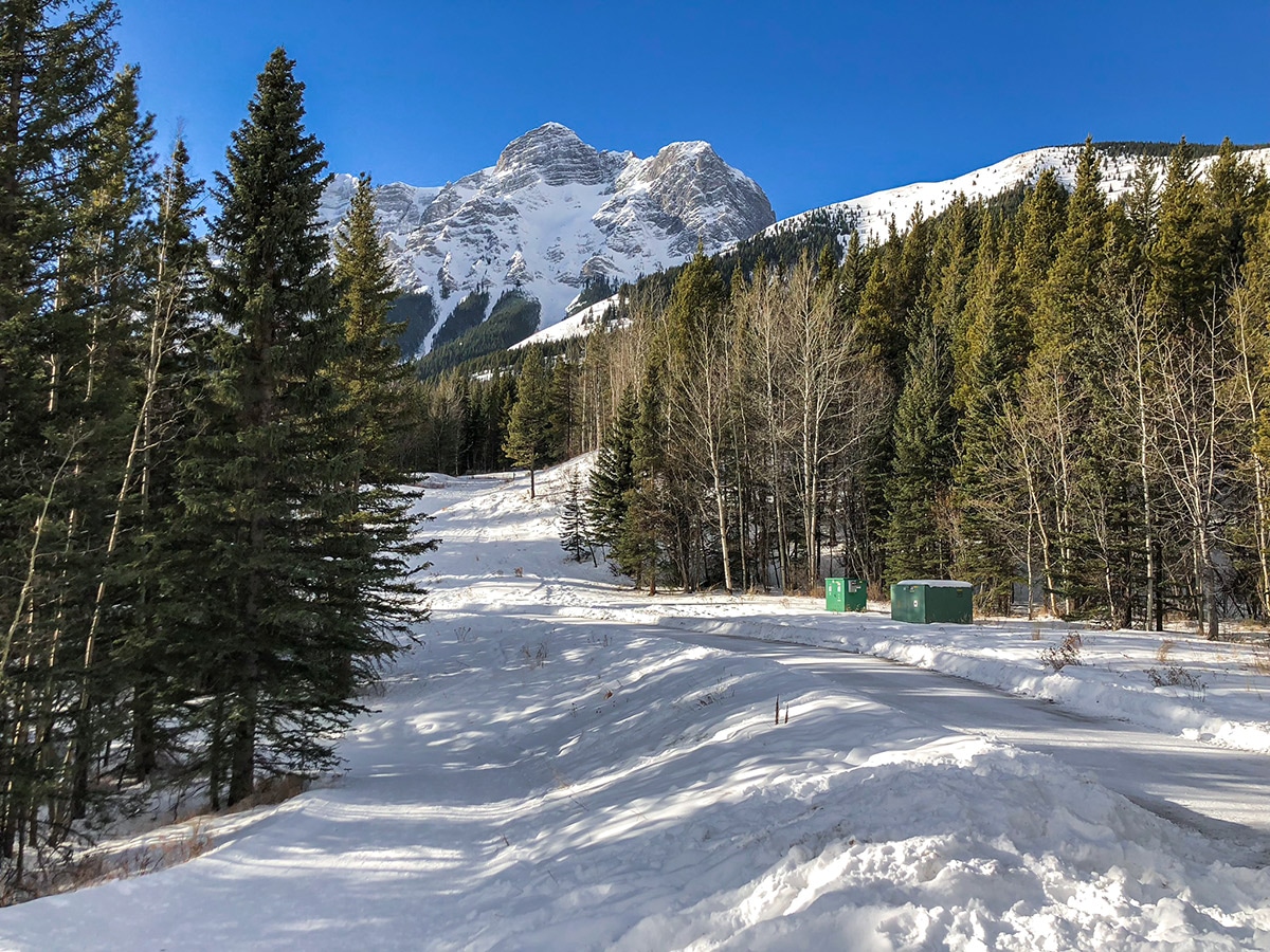 Early season conditions on Ribbon Creek XC ski trail near Kananaskis and Canmore