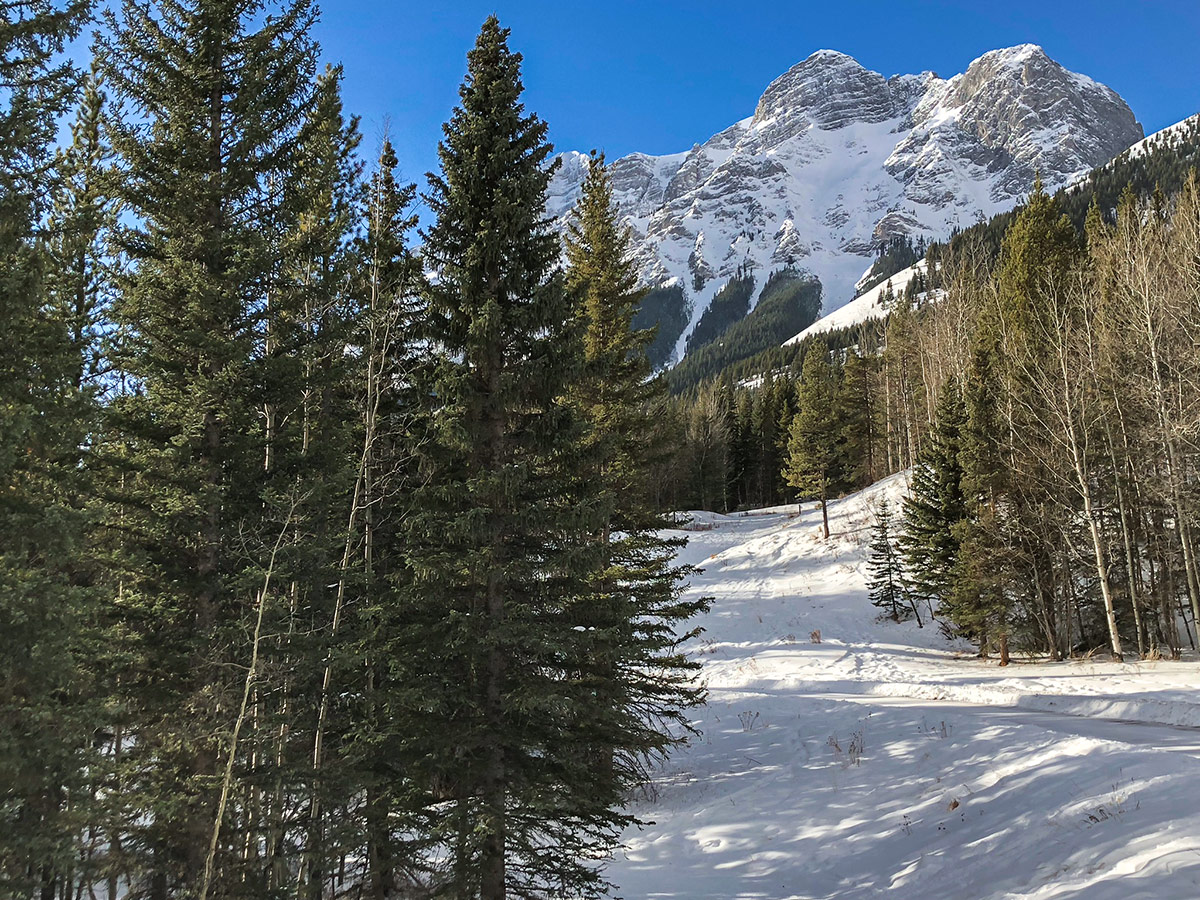 White mountain peaks around Ribbon Creek XC ski trail near Kananaskis and Canmore