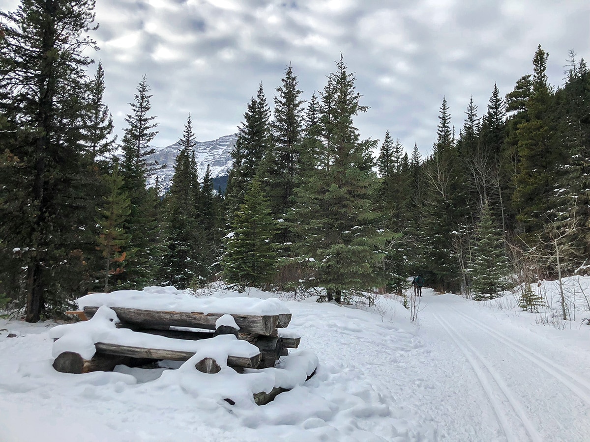 Picnic table along Ribbon Creek XC ski trail near Kananaskis and Canmore