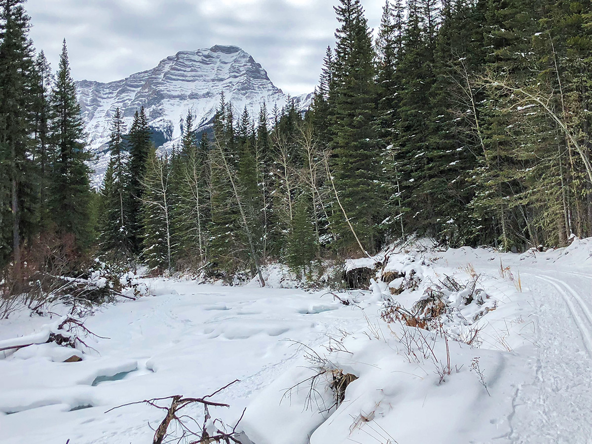 Snowy path of Ribbon Creek XC ski trail near Kananaskis and Canmore