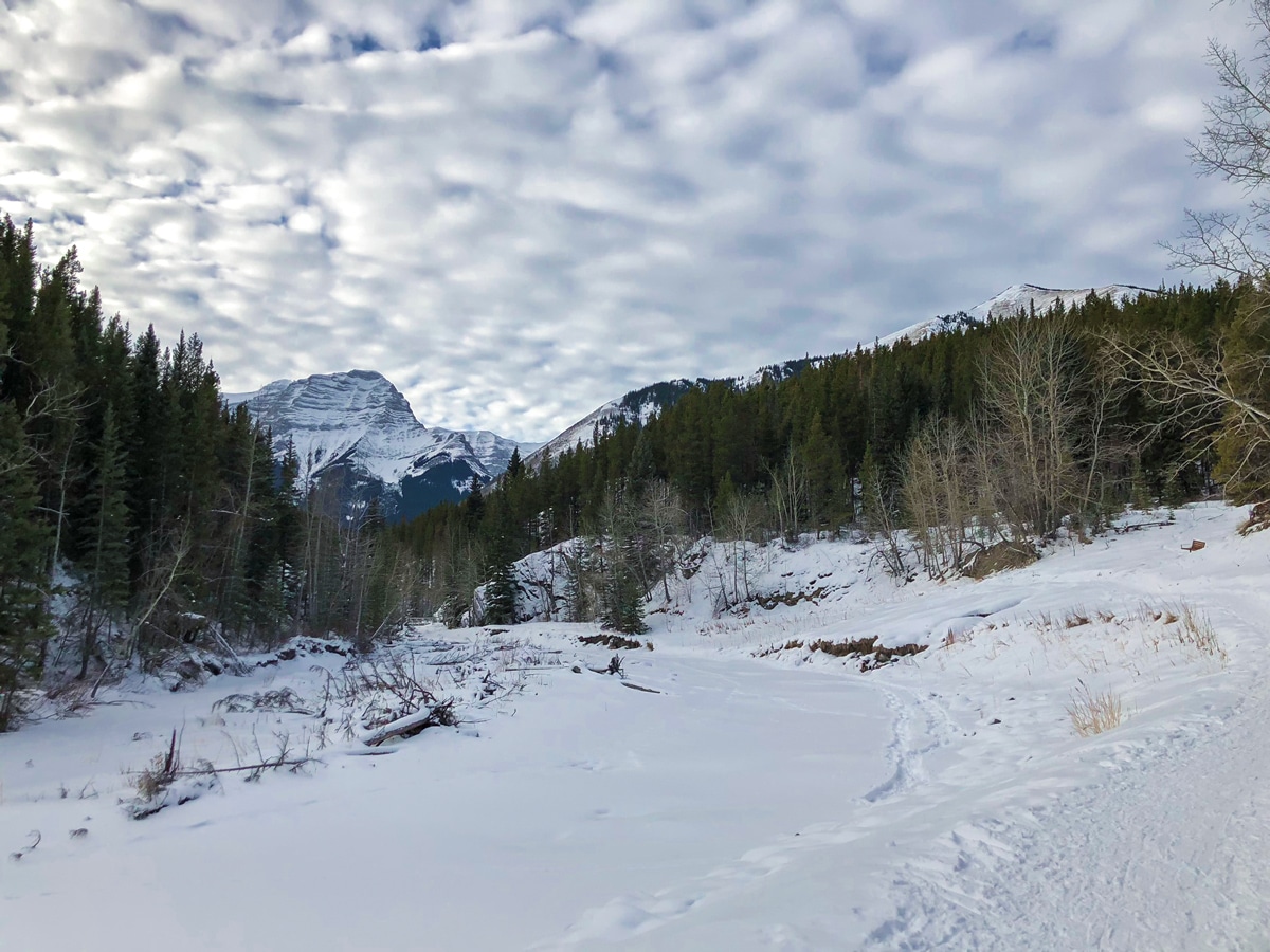 Skiing on Ribbon Creek XC ski trail near Kananaskis and Canmore