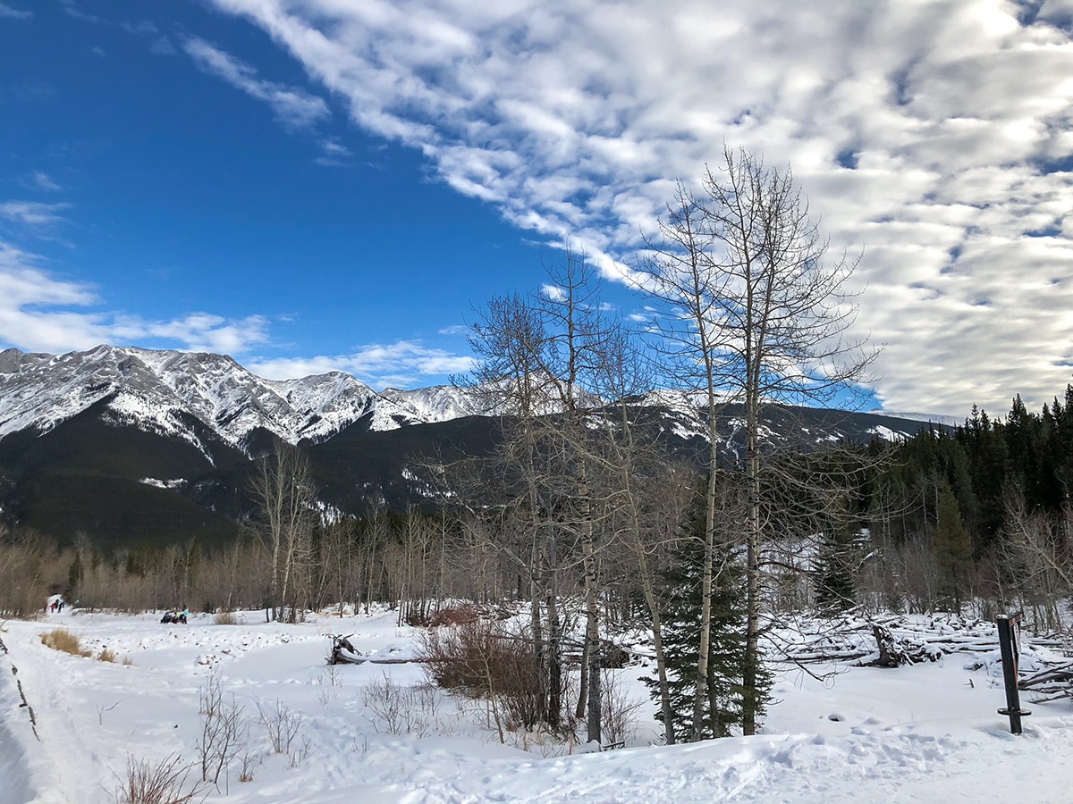 Beautiful snowy peaks around Ribbon Creek XC ski trail near Kananaskis and Canmore