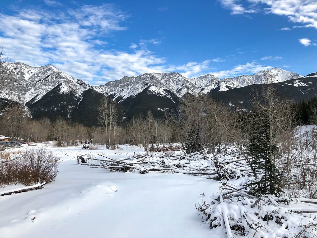 Great panoramic views on Ribbon Creek XC ski trail near Kananaskis and Canmore