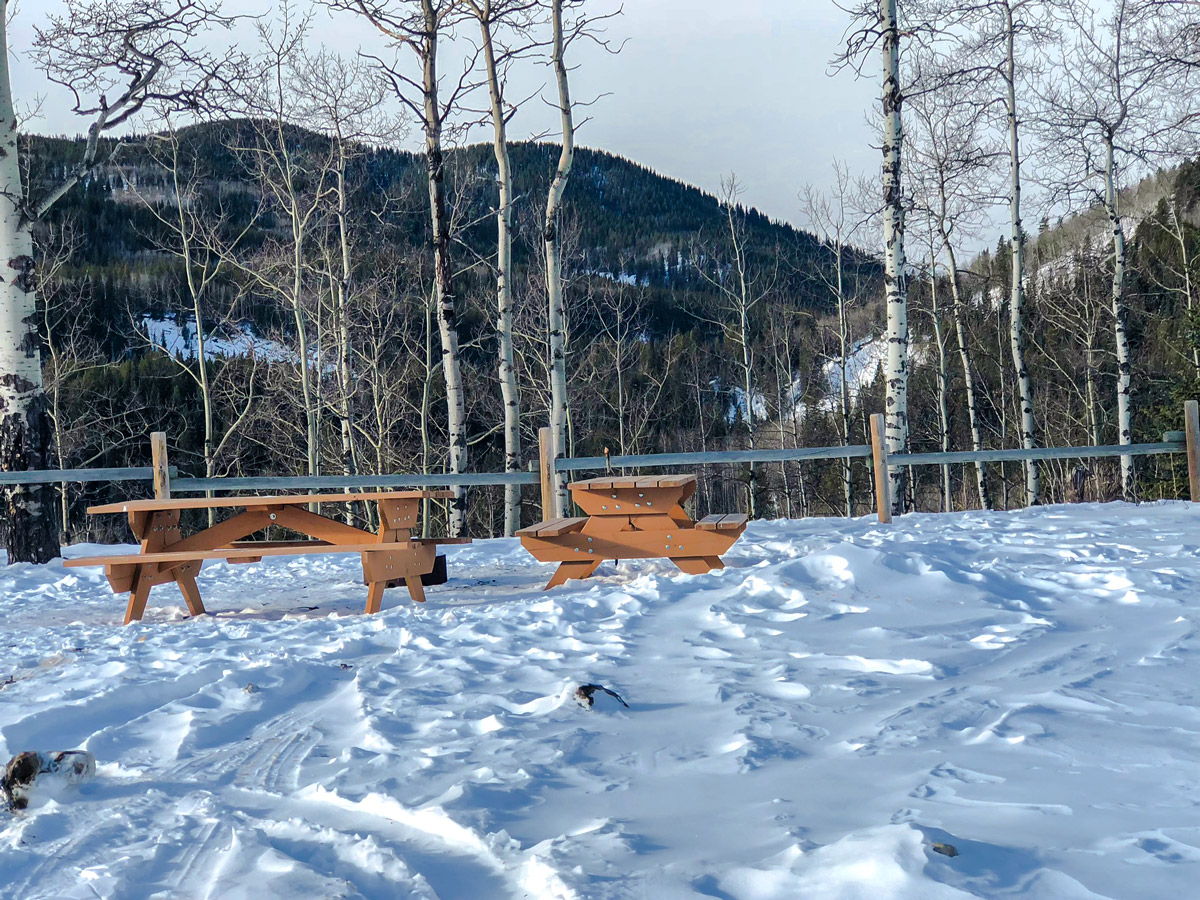 Break area on Sandy McNabb XC ski trail in Sheep River Provincial Park near Kananaskis