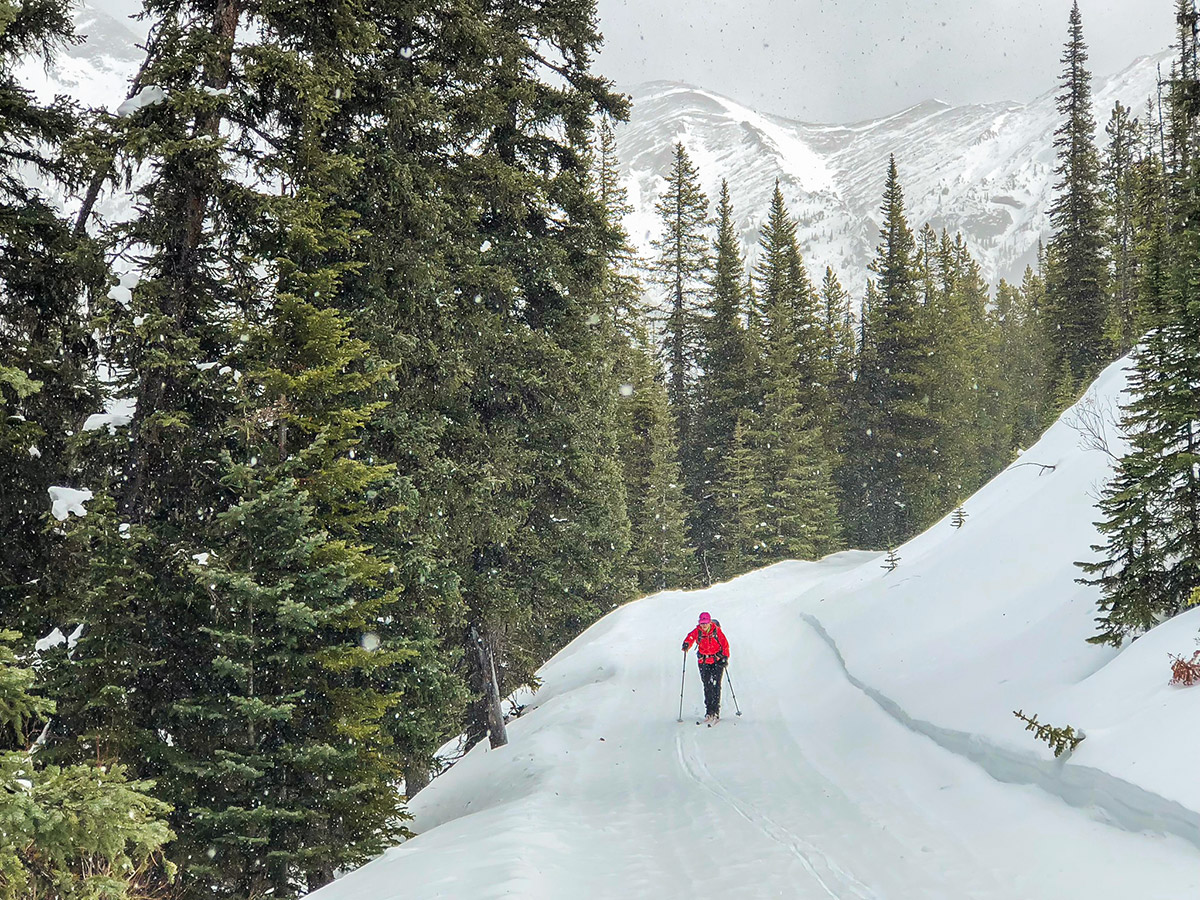 Winter scenery on Skogan Pass XC ski trail near Kananaskis in the Canadian Rockies