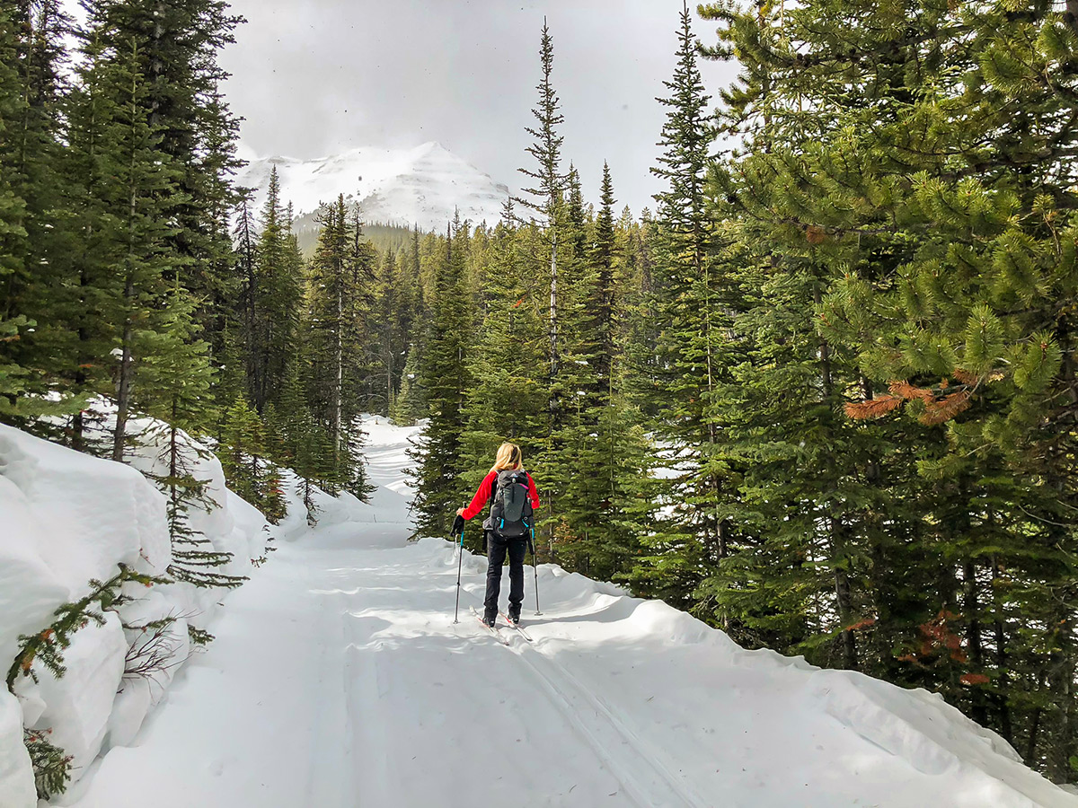 Flat part of ascent on Skogan Pass XC ski trail near Kananaskis in the Canadian Rockies