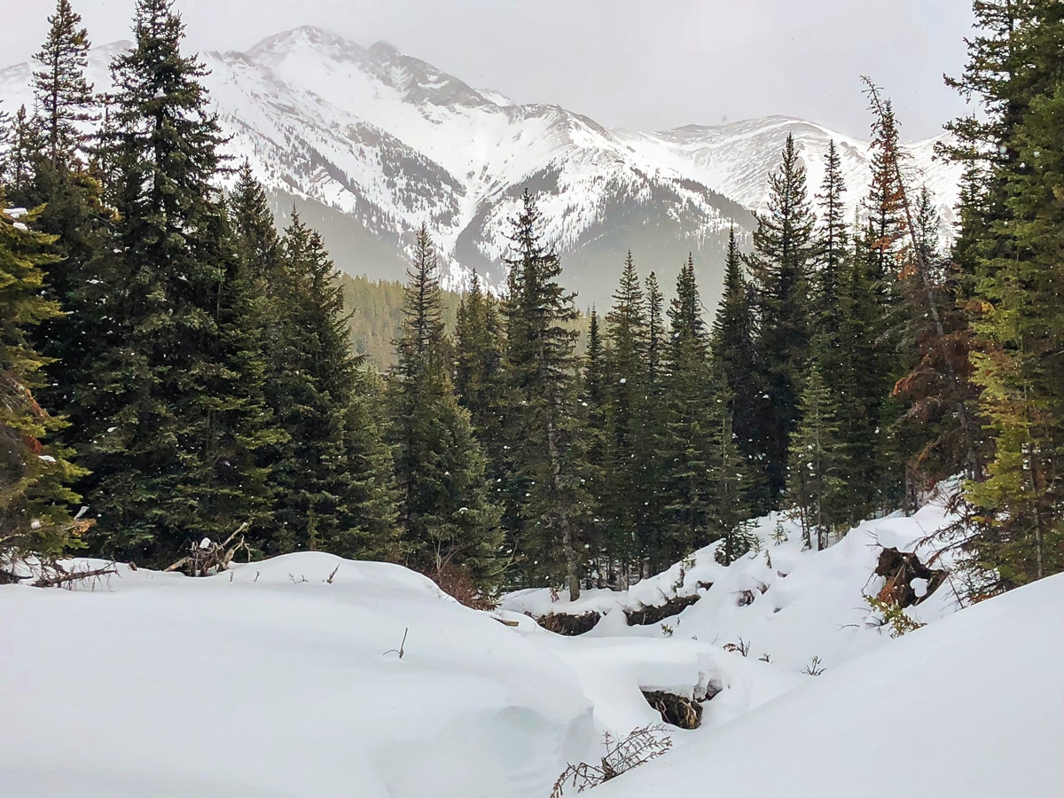 Great scenery on Skogan Pass XC ski trail near Kananaskis in the Canadian Rockies