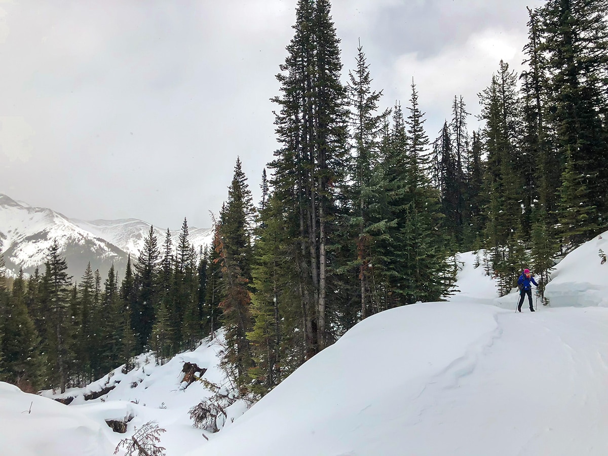 Approaching the pass on Skogan Pass XC ski trail near Kananaskis in the Canadian Rockies