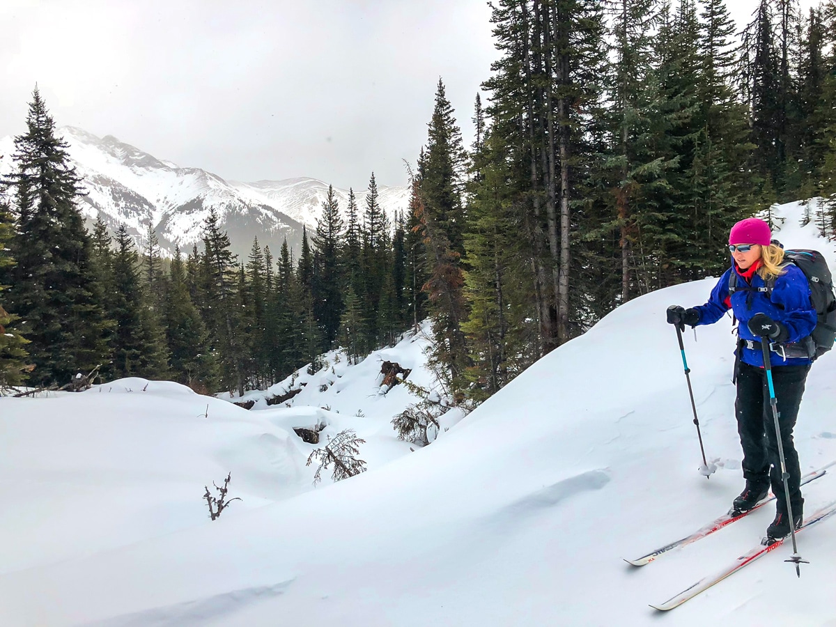 Views near the top of Skogan Pass XC ski trail near Kananaskis in the Canadian Rockies