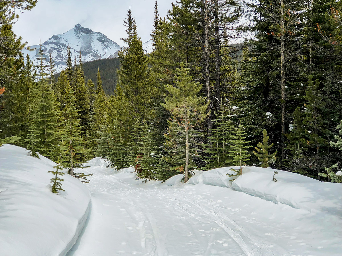 Downhill skiing from the top of Skogan Pass XC ski trail near Kananaskis in the Canadian Rockies