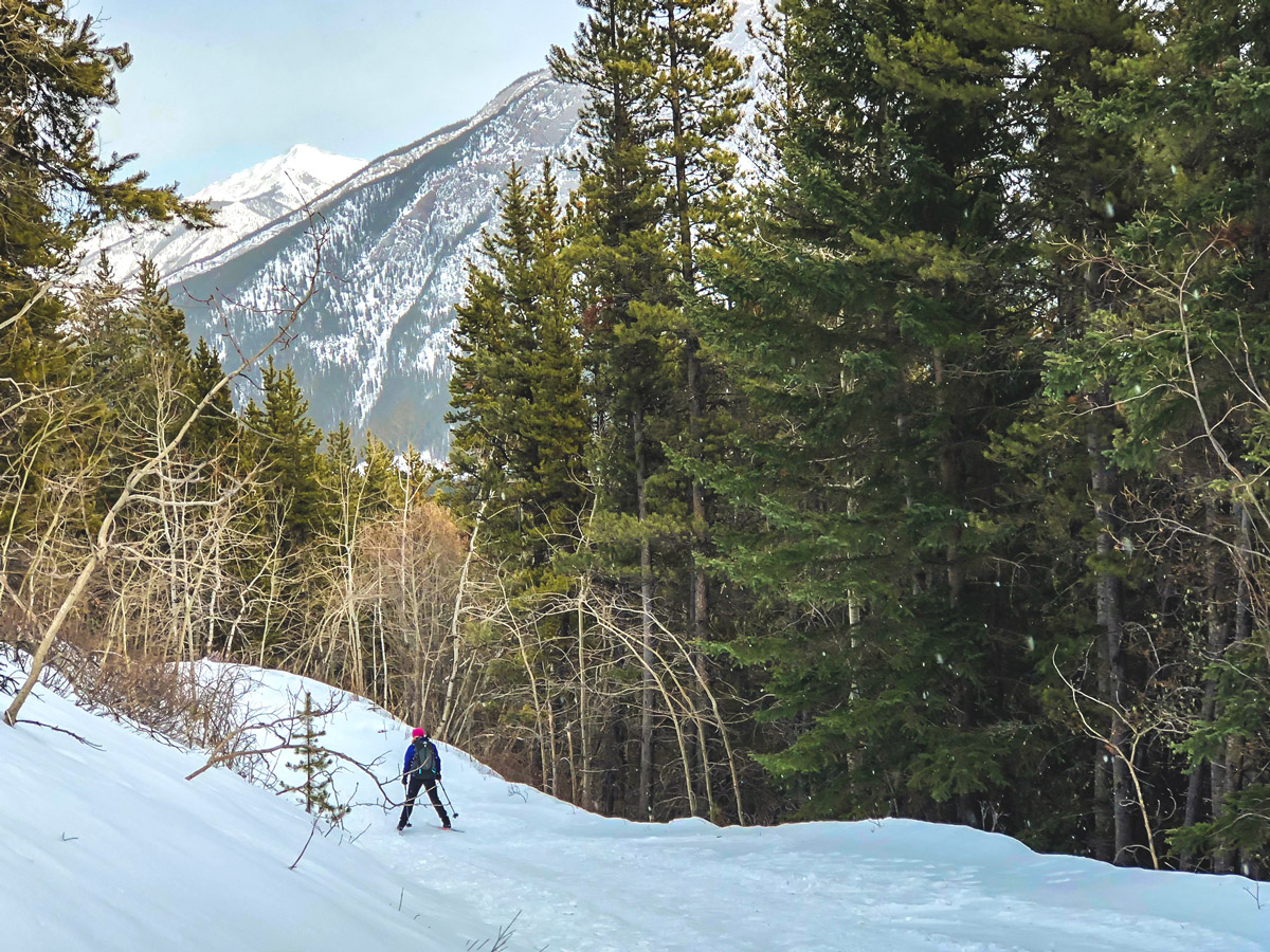 Cross country skiing from Skogan pass, Alberta