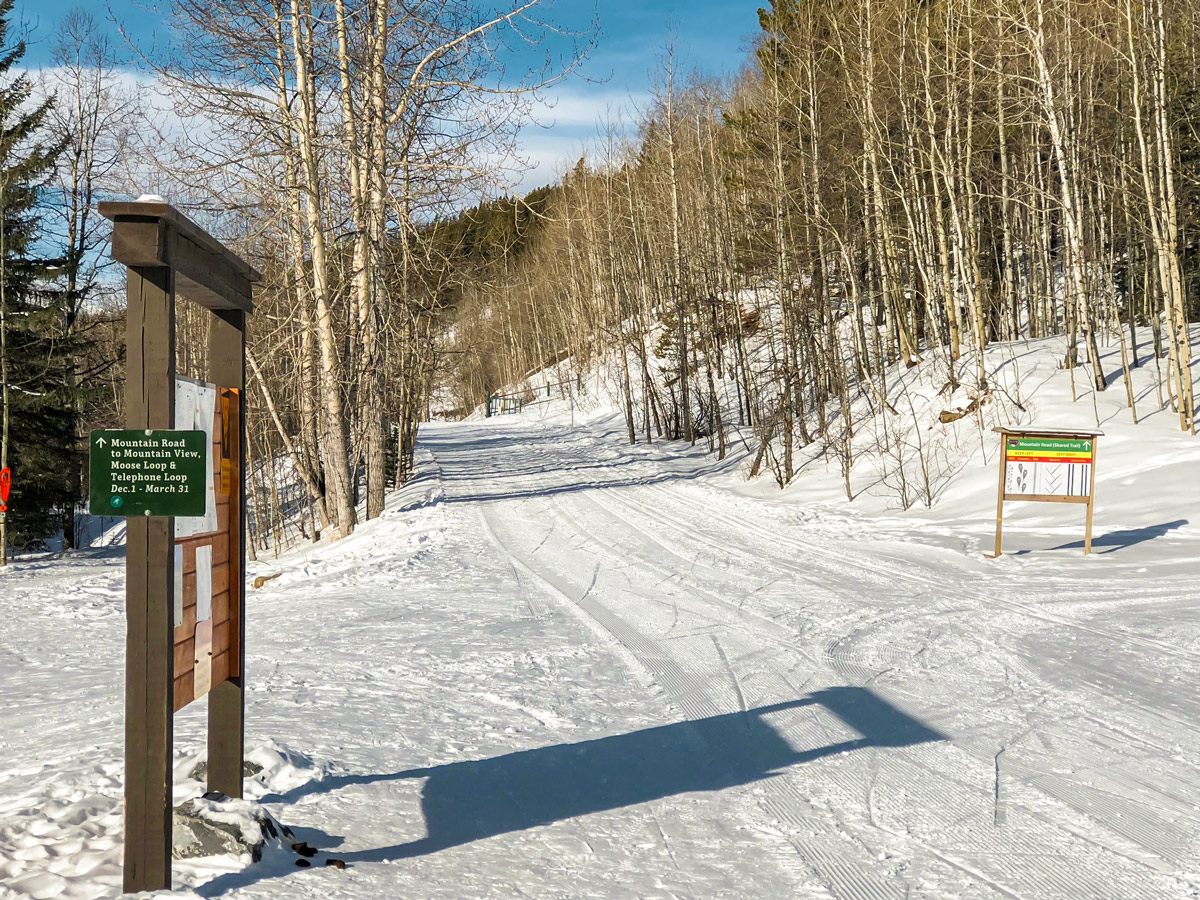 Beginning of West Bragg Creek XC ski trail near Kananaskis, the Canadian Rockies