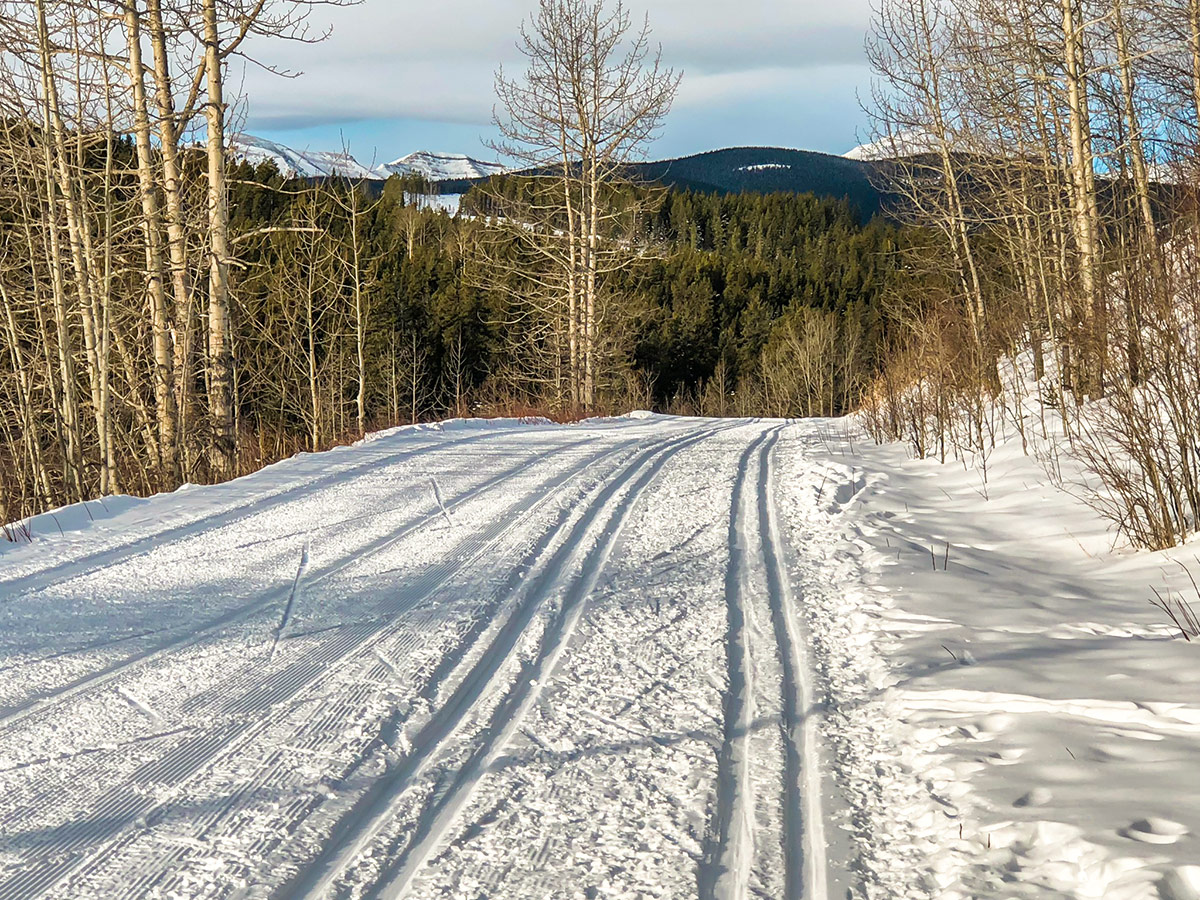 Winter views on West Bragg Creek XC ski trail near Kananaskis, the Canadian Rockies