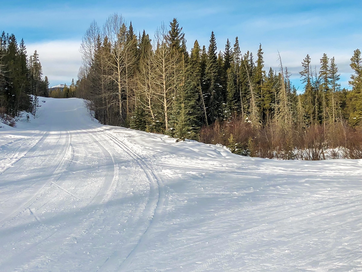 Junction on West Bragg Creek XC ski trail near Kananaskis, the Canadian Rockies