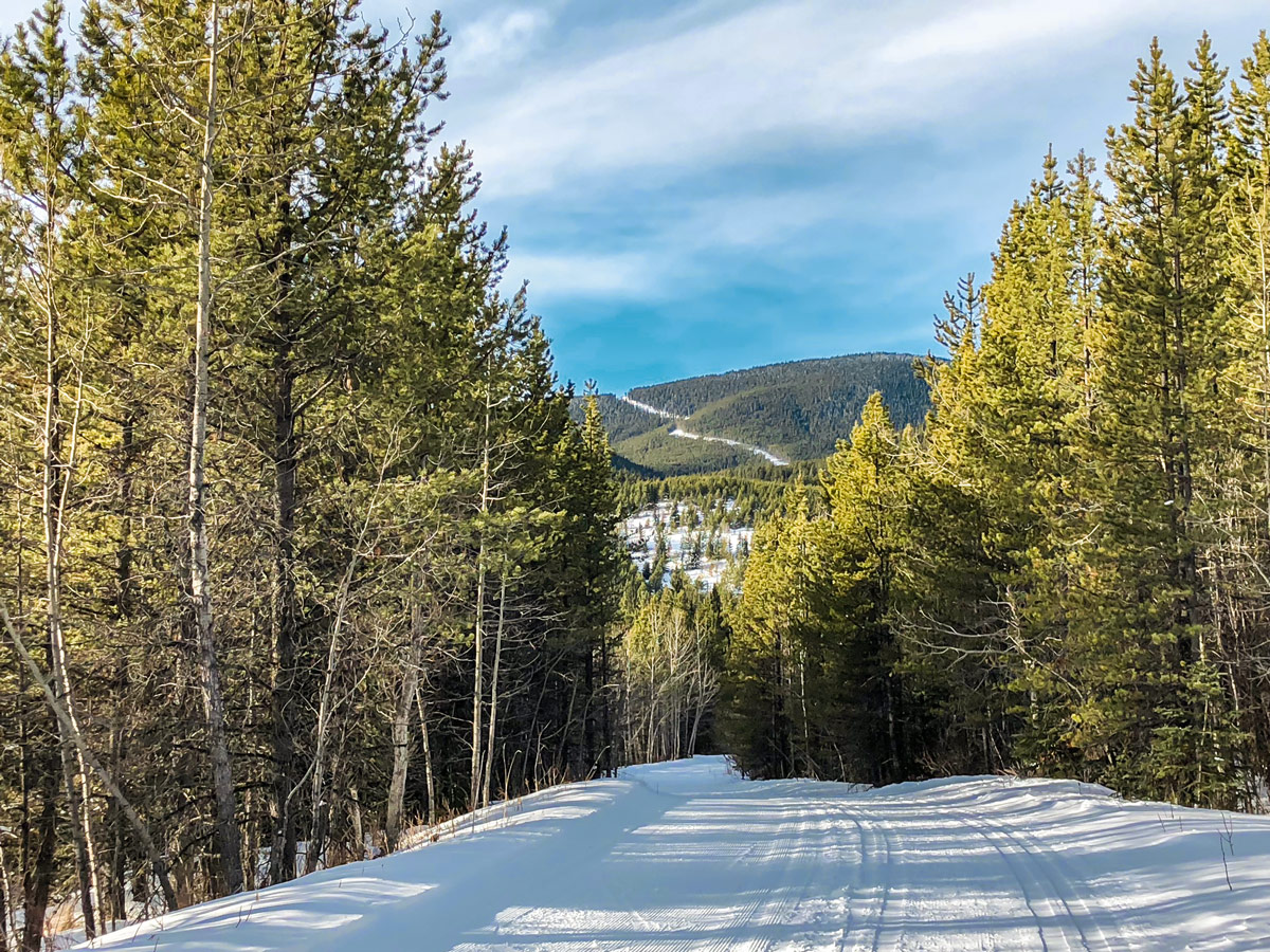 Alberta Foothills on West Bragg Creek XC ski trail near Kananaskis, the Canadian Rockies