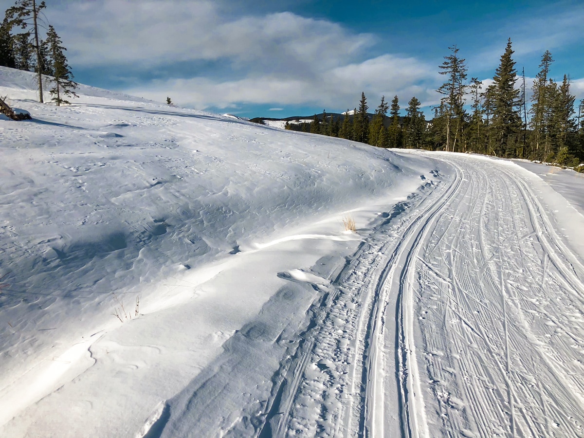 Snowy path of West Bragg Creek XC ski trail near Kananaskis, the Canadian Rockies