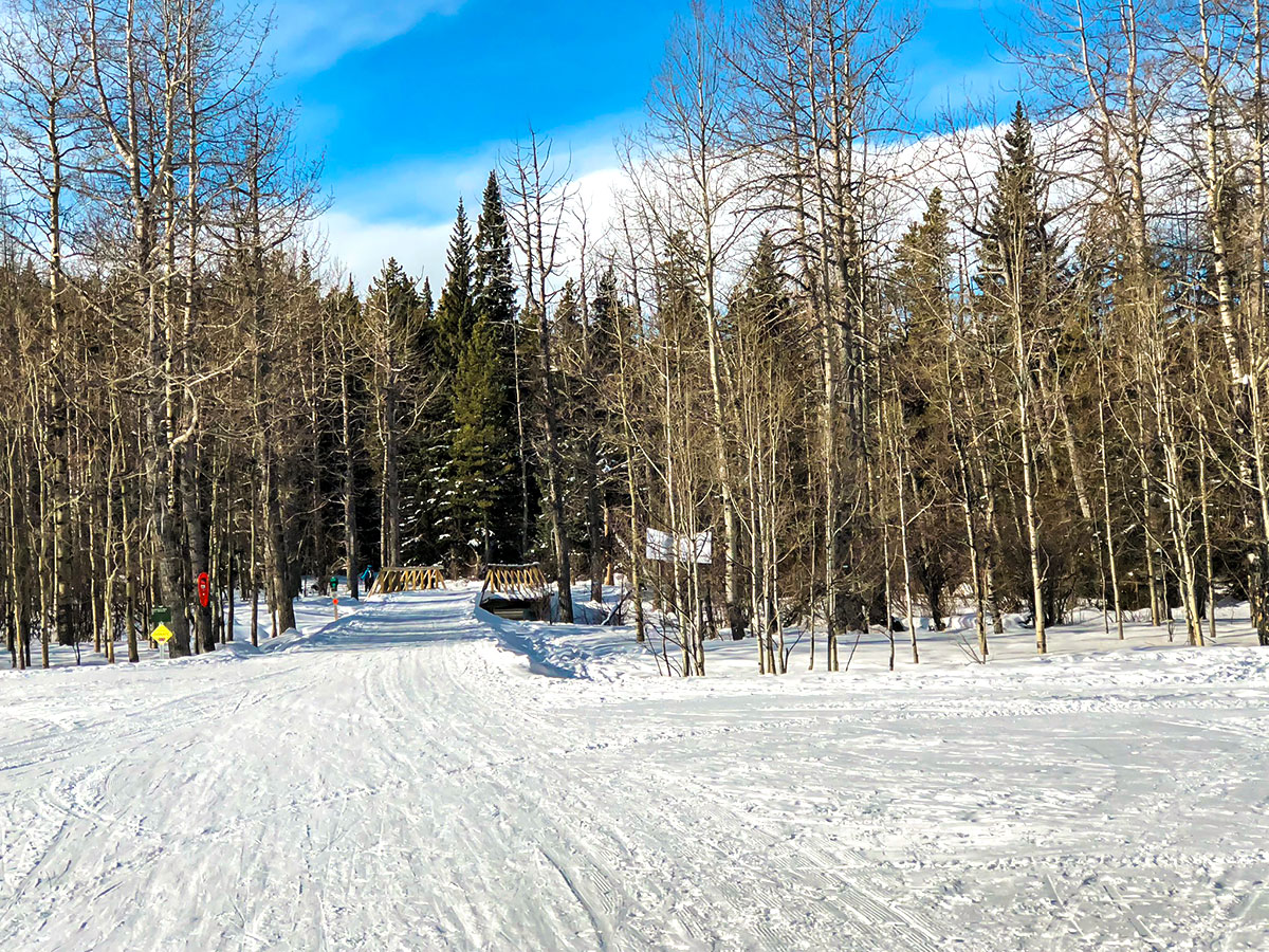 Great scenery on West Bragg Creek XC ski trail near Kananaskis, the Canadian Rockies