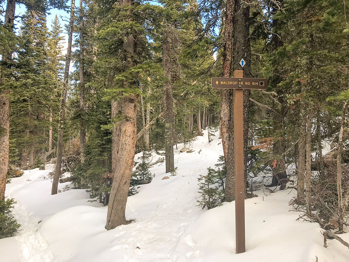 Sign on Brainard Lake snowshoe trail in Indian Peaks, Colorado