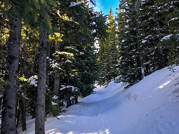 Scenery of Caribou Hill snowshoe trail in Indian Peaks, Colorado