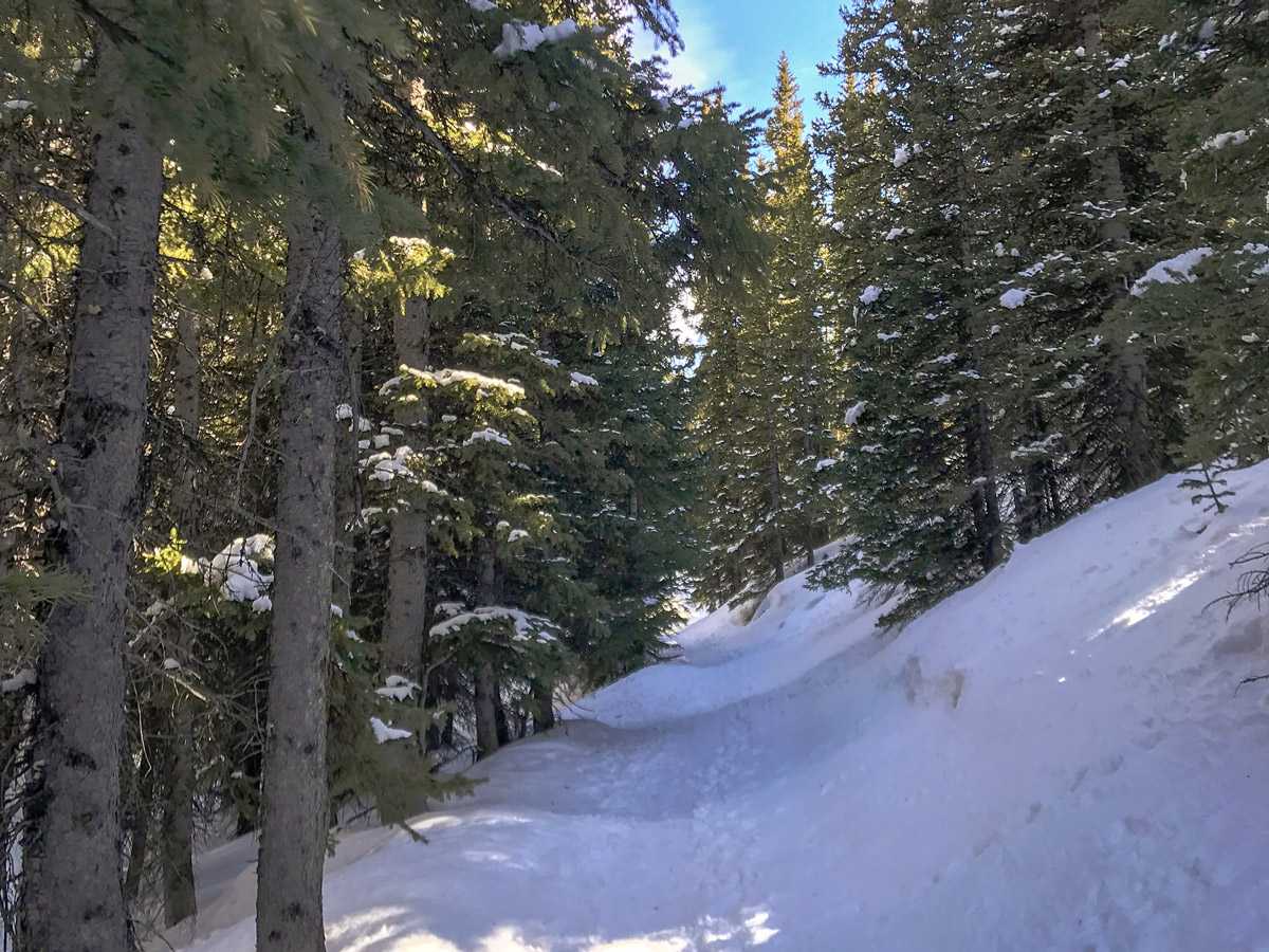 Winter views on Caribou Hill snowshoe trail in Indian Peaks, Colorado