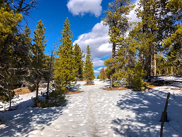 Scenery of Dot snowshoe trail in Indian Peaks, Colorado