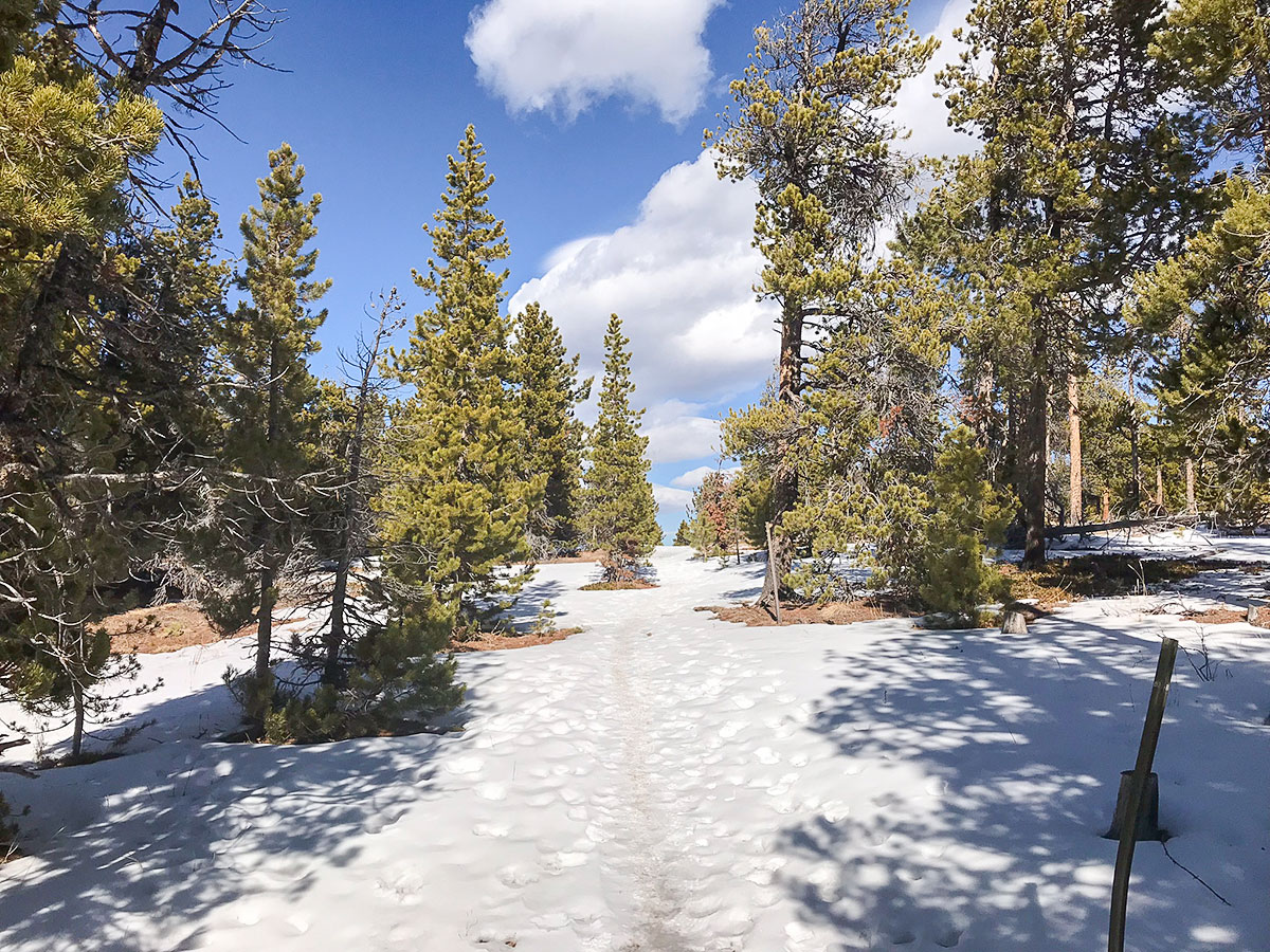 Great views on Dot snowshoe trail in Indian Peaks, Colorado