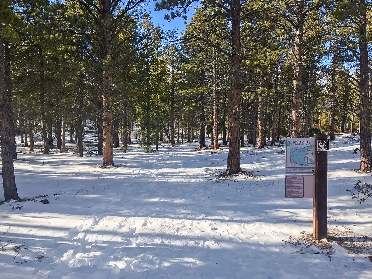 Path through the woods on Mud Lake snowshoe trail in Indian Peaks, Colorado