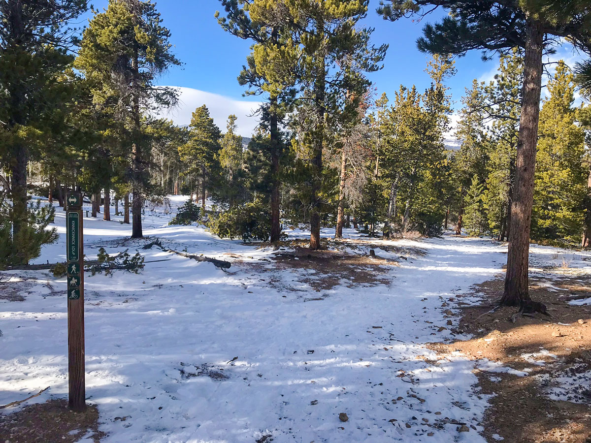 Snowy path of Mud Lake snowshoe trail in Indian Peaks, Colorado