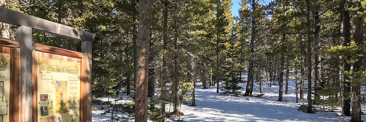 Trailhead of Sourdough snowshoe trail in Indian Peaks, Colorado