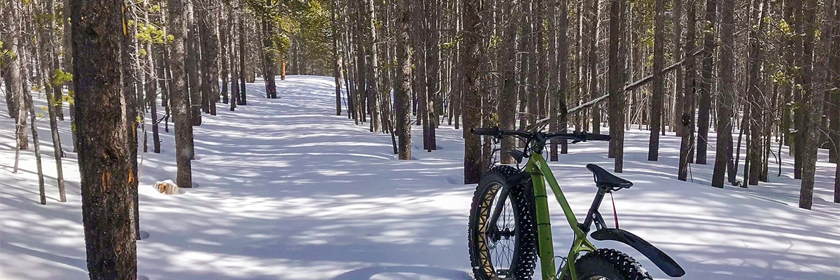 Fat tire bike on Sourdough snowshoe trail in Indian Peaks, Colorado