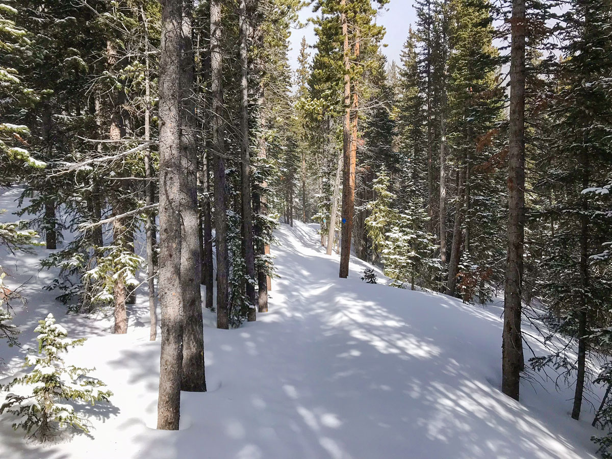 Winter views on Sourdough snowshoe trail in Indian Peaks, Colorado