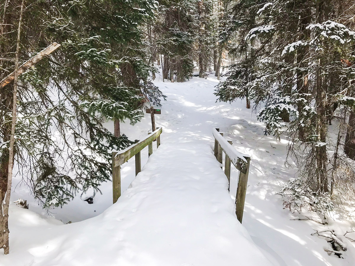 Bridge on Sourdough snowshoe trail in Indian Peaks, Colorado