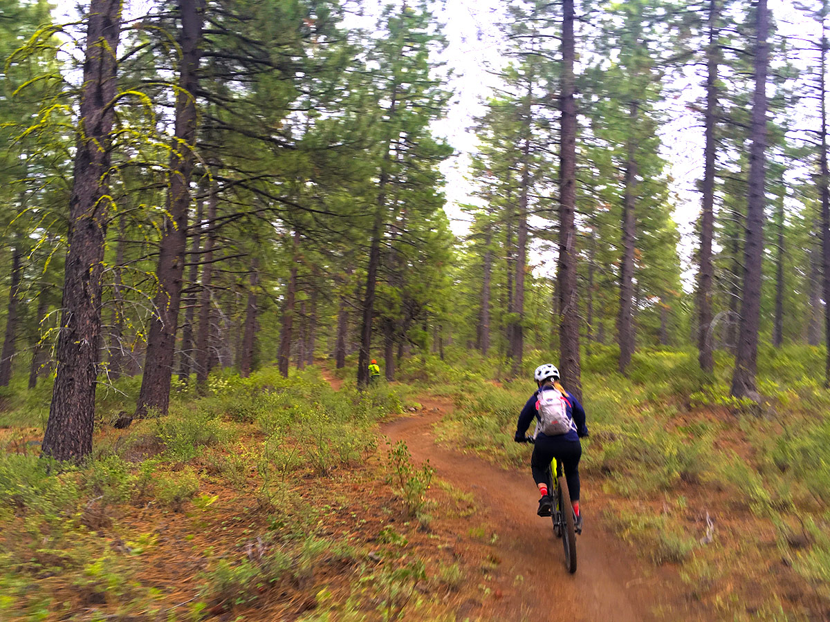 Cruising down the smooth trail on Kent's mountain biking trail near Bend, Oregon
