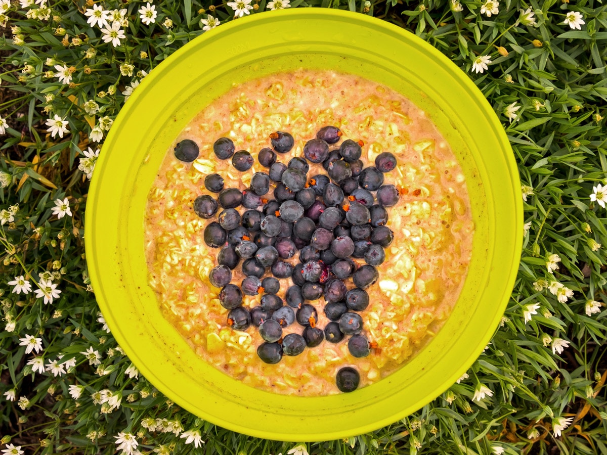 Breakfast with wild Greenlandic blueberries on Arctic Circle Trail hike