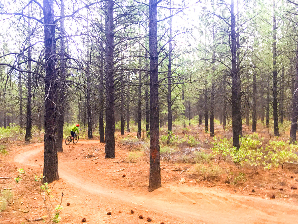 Mega flow trail on Whoops Loop mountain biking trail in Bend, Oregon