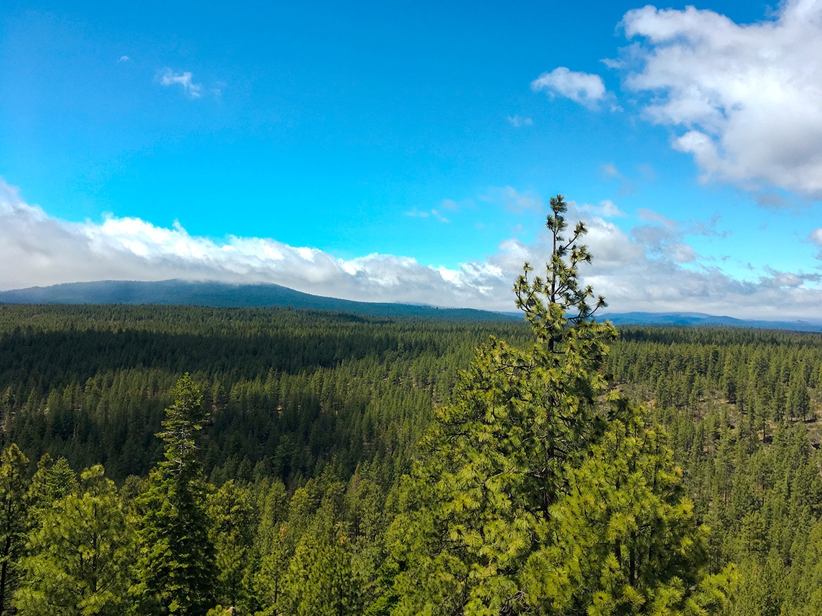 View from the top of Peterson Ridge biking trail in Bend, Oregon