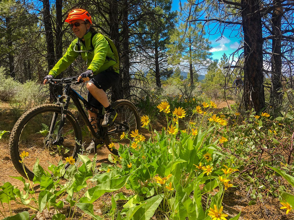 Wildflowers on Peterson Ridge biking trail in Bend, Oregon