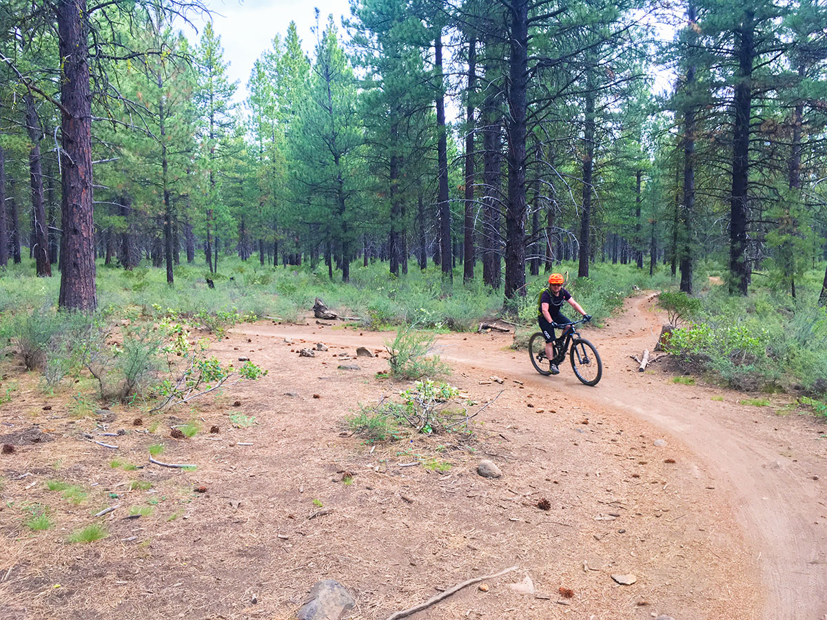 Fast part of Phil's MTB trail in Bend, Oregon